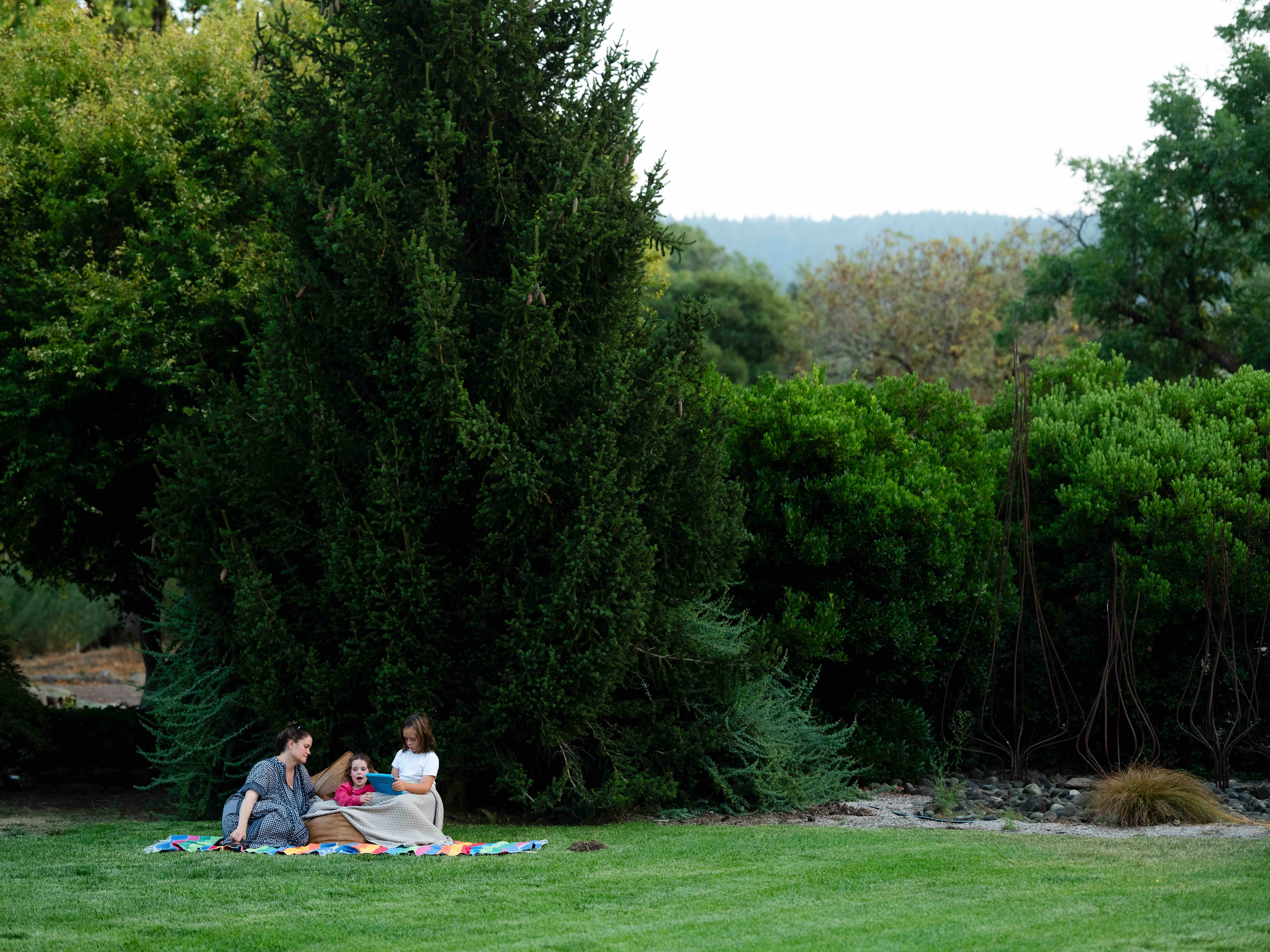 A family enjoys a quiet afternoon on a lawn. 